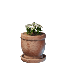 White Flower