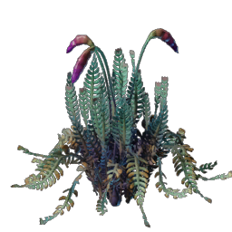 T7_Seedling_Vegetable_Bean
