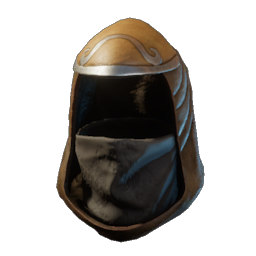 Assassin Hood