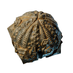 Round Sea Urchin