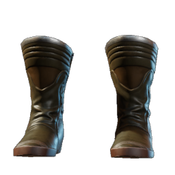 Bottes d'assassin
