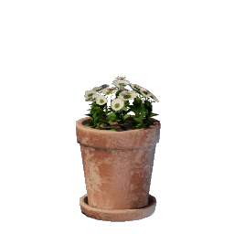 Fleur blanche