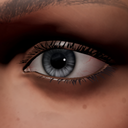 Yeux gris