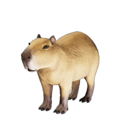 Capybara