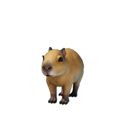 Baby Capybara