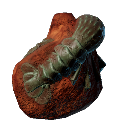 Prawn Fossil