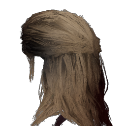 Cheveux châtain clair
