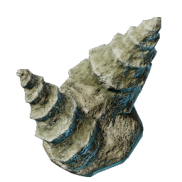 Gastéropodes