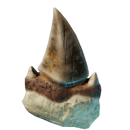 Dent de requin acérée