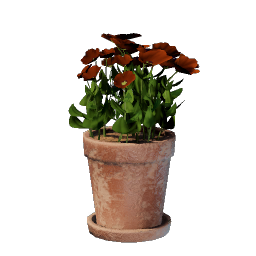 Red Flower