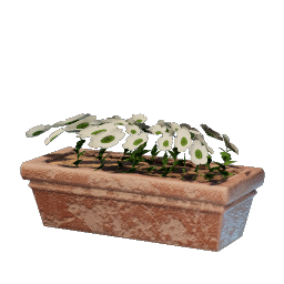 Fleur blanche