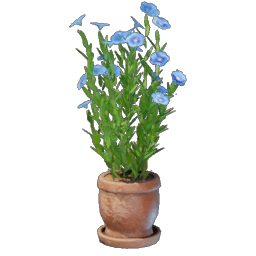 Plante de lin