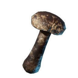 Roasted Shiitake Mushroom