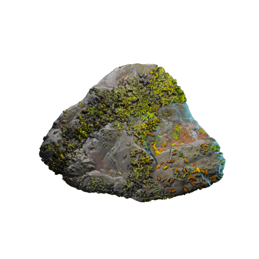 Revelwood Rubble