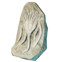 Larger Sea Lily Fossil
